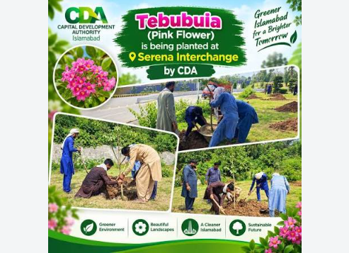 CDA Intensifies Plantation Drive in Islamabad CDA Intensifies Plantation Drive in Islamabad