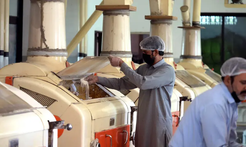 Millers Cut Flour Prices by Rs3 per kg but Retail Rates Remain Unchanged Millers Cut Flour Prices by Rs3 per kg but Retail Rates Remain Unchanged