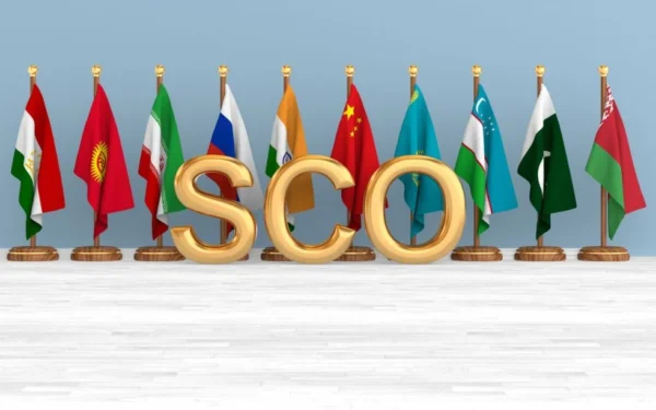 Pakistan hosts first SCO Council of National Coordinators meeting Pakistan hosts first SCO Council of National Coordinators meeting