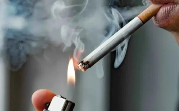 Dentists play crucial role in detecting smoking-related oral harm Dentists play crucial role in detecting smoking-related oral harm