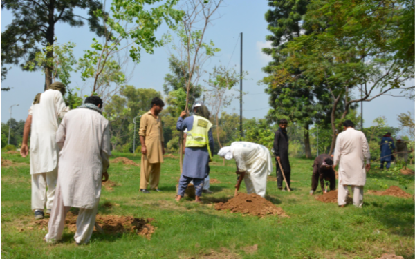 CDA Launches Intensive Tree Planting Drive in Islamabad