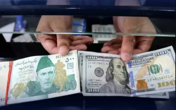 NBP updates currency rates
