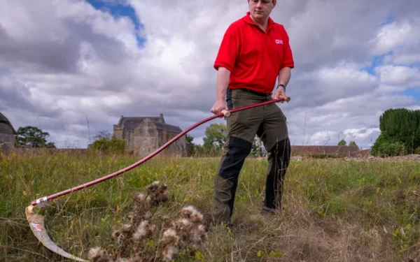 English Heritage trains scythers to preserve ancient meadowcraft English Heritage trains scythers to preserve ancient meadowcraft