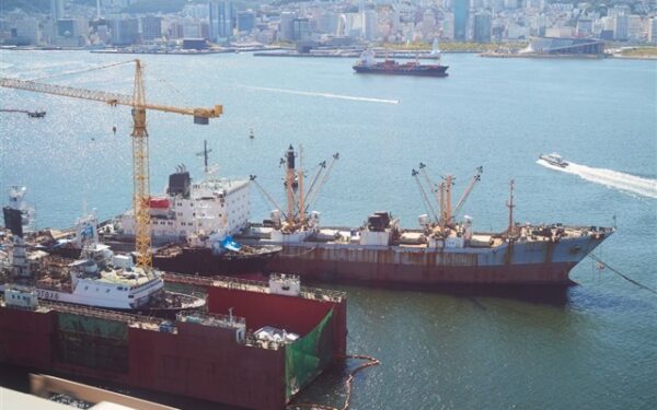 Middle East Tensions and Panama Canal Limits Heighten Shipping Costs Middle East Tensions and Panama Canal Limits Heighten Shipping Costs