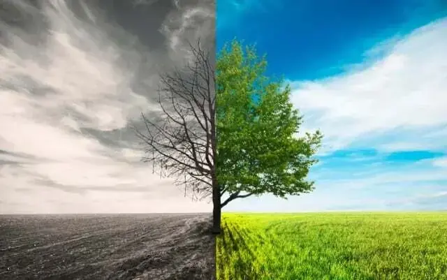 Pakistan Rises 22 Places in Global Environmental Performance Index Pakistan Rises 22 Places in Global Environmental Performance Index