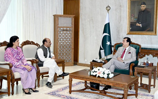 Acting President Gilani Meets with Human Rights Ambassador and Insurance Company Chairman Acting President Gilani Meets with Human Rights Ambassador and Insurance Company Chairman