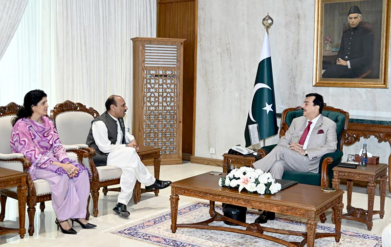 Acting President Gilani Meets with Human Rights Ambassador and Insurance Company Chairman Acting President Gilani Meets with Human Rights Ambassador and Insurance Company Chairman