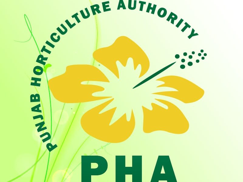 PHA organizes clean-up drive at Jillani Park PHA organizes clean-up drive at Jillani Park