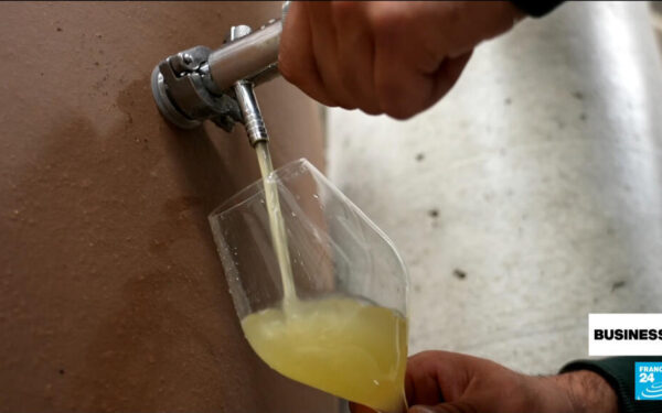 French Champagne Rules Adjusted Due to Extreme Weather French Champagne Rules Adjusted Due to Extreme Weather