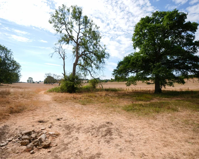 UK Government Warns Wildlife to Face Long-Term Drought Impact UK Government Warns Wildlife to Face Long-Term Drought Impact
