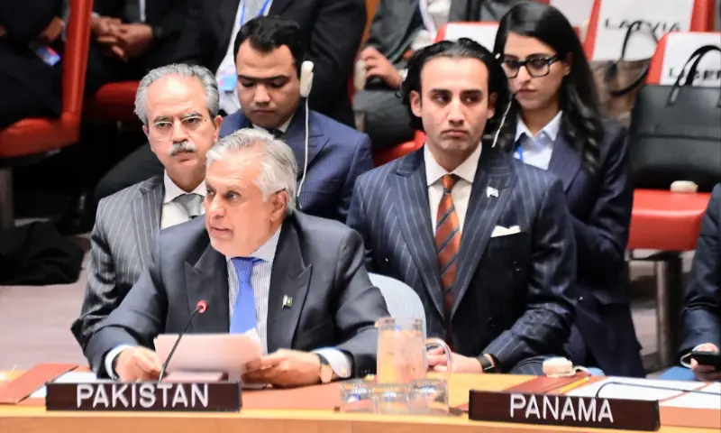 Pakistan urges caution on AI at UN Security Council