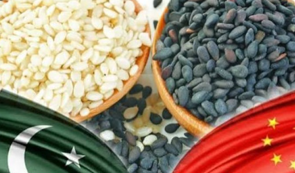 Pakistani firm aims to boost sesame exports to China Pakistani firm aims to boost sesame exports to China