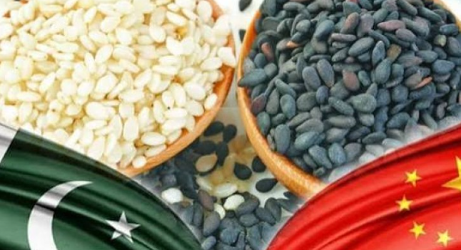 Pakistani firm aims to boost sesame exports to China