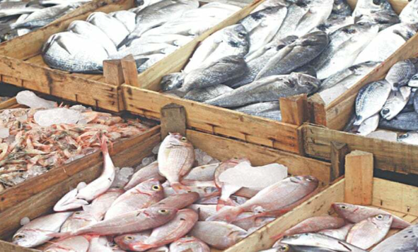 Fish and meat exports rise by 3.23 percent in first two months of FY27 Fish and meat exports rise by 3.23 percent in first two months of FY27