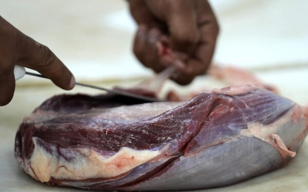 EU suspends Brazilian meat imports due to antibiotic concerns EU suspends Brazilian meat imports due to antibiotic concerns