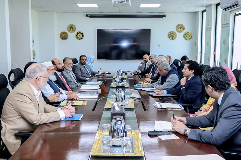 Jamaat-e-Islami Meets with Federal Ministers on Petroleum and Finance Jamaat-e-Islami Meets with Federal Ministers on Petroleum and Finance