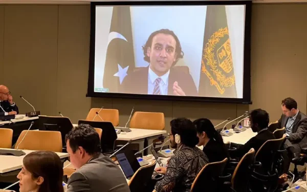 Pakistan Urges Global Framework for Digital Assets Pakistan Urges Global Framework for Digital Assets