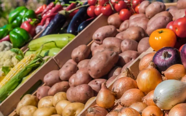 US CDC report: Income affects fresh produce consumption US CDC report: Income affects fresh produce consumption