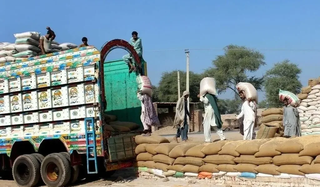 Pakistan receives bids for 185,000 metric tons of wheat