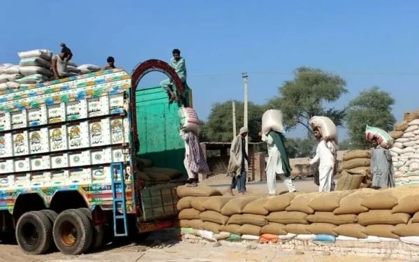 Pakistan receives bids for 185,000 metric tons of wheat
