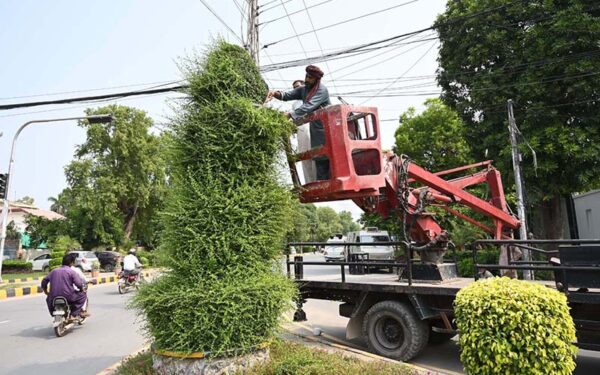 Cantonment Board Workers Tackle Maintenance Tasks in Karachi