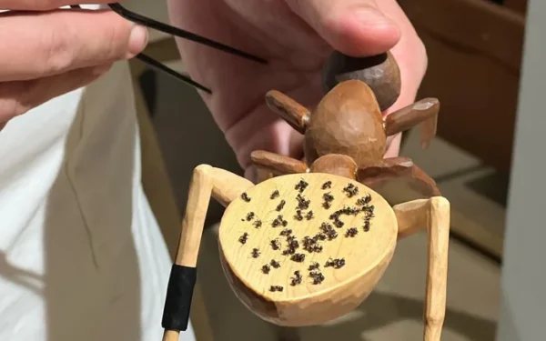 Seoul Restaurant Fined for Serving Ants in Dessert