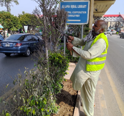 Horticulture Agency Steps Up Murree Road Beautification Efforts Horticulture Agency Steps Up Murree Road Beautification Efforts