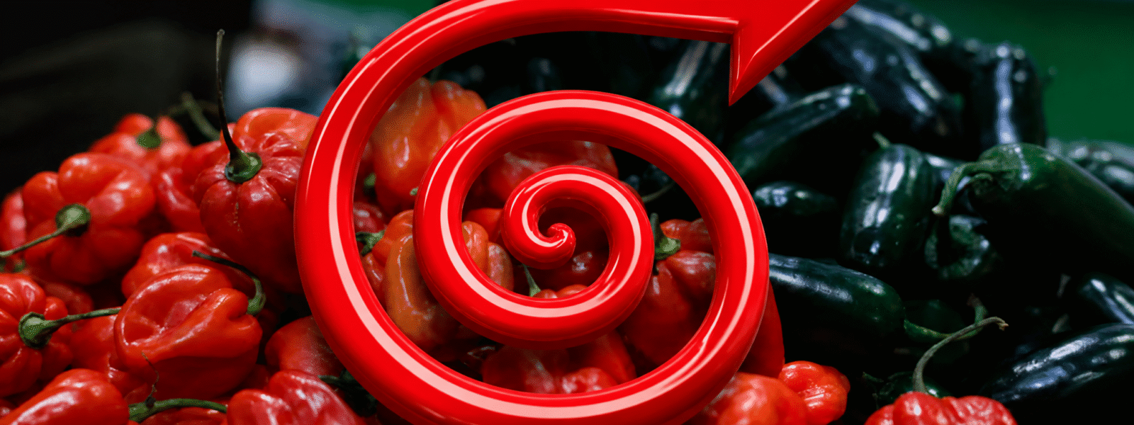Inflation Surges to 11.1% in August 2026 Inflation Surges to 11.1% in August 2026