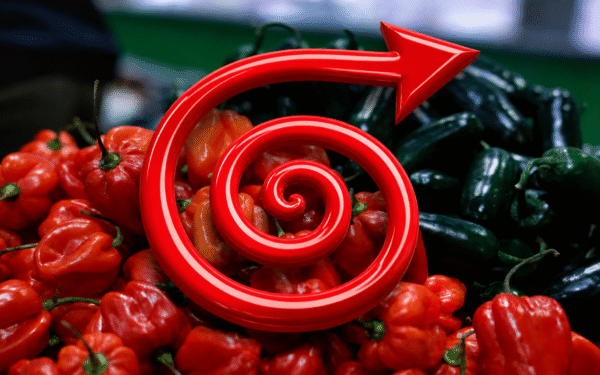 Inflation Surges to 11.1% in August 2026 Inflation Surges to 11.1% in August 2026