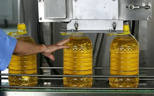 India’s vegetable oil imports strain port storage, delaying vessel unloading