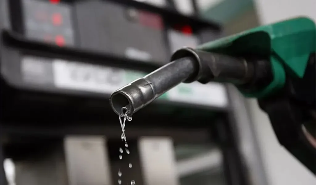 Government’s fuel subsidy seen as ineffective and politically motivated Government’s fuel subsidy seen as ineffective and politically motivated