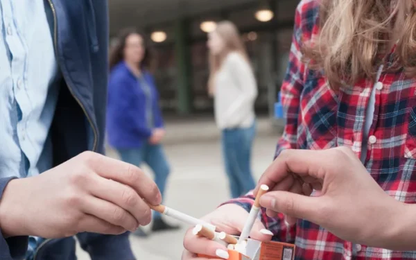 Illicit cigarette factories surge in EU, costing billions in tax revenue Illicit cigarette factories surge in EU, costing billions in tax revenue