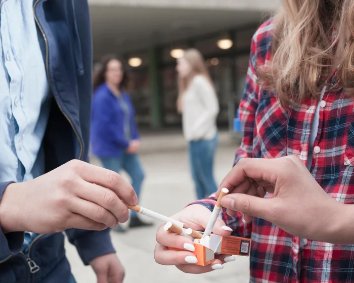 Illicit cigarette factories surge in EU, costing billions in tax revenue Illicit cigarette factories surge in EU, costing billions in tax revenue