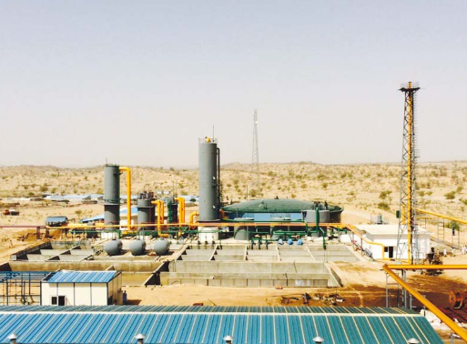 Thar Coal Power Plants Generate 16,447 GWh in FY26