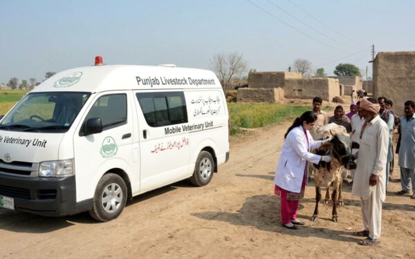Punjab Launches Mobile Veterinary Units to Boost Livestock Care Punjab Launches Mobile Veterinary Units to Boost Livestock Care