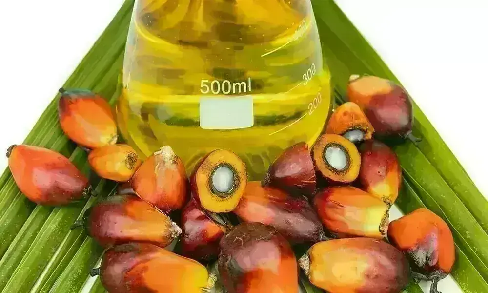 Palm oil prices rise on strong crude oil market Palm oil prices rise on strong crude oil market
