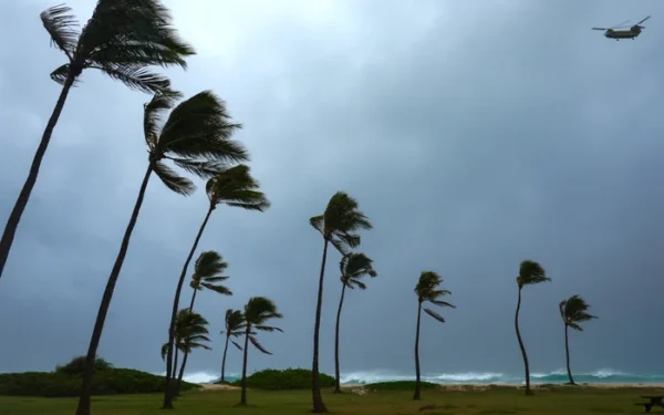 Hurricane Lowell Causes Widespread Power Outages on Kauai Hurricane Lowell Causes Widespread Power Outages on Kauai