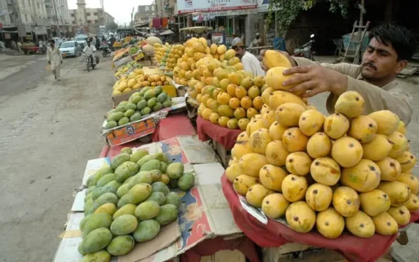 Iranian team to inspect mango treatment plants in Pakistan Iranian team to inspect mango treatment plants in Pakistan