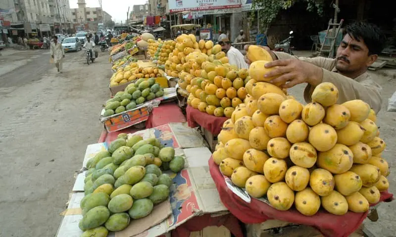 Iranian team to inspect mango treatment plants in Pakistan Iranian team to inspect mango treatment plants in Pakistan