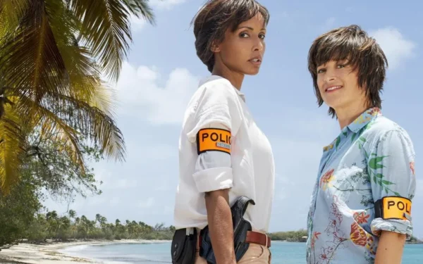 French TV Exports Fall Sharply French TV Exports Fall Sharply