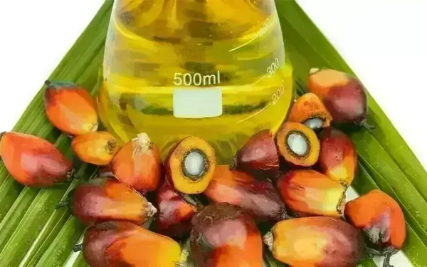 Palm oil futures rise for second consecutive session Palm oil futures rise for second consecutive session