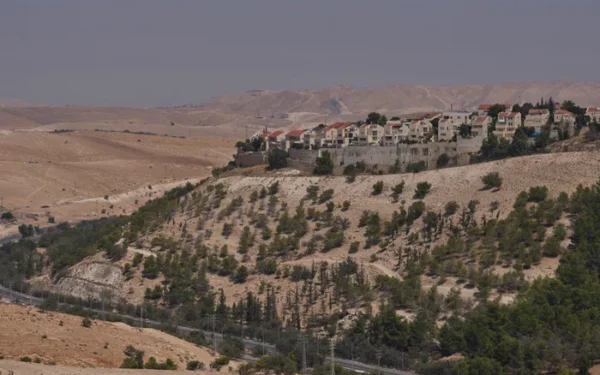 MPs warn UK banks against investing in Israeli settlement MPs warn UK banks against investing in Israeli settlement