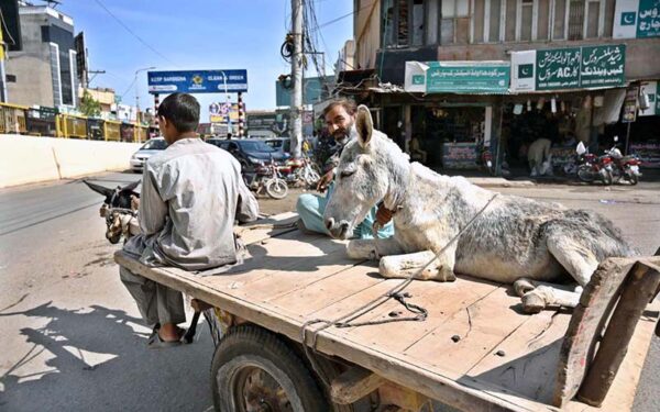 Donkey cart holder, rain-affected roads and vendors facing challenges