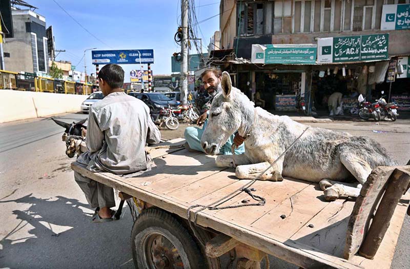 Donkey cart holder, rain-affected roads and vendors facing challenges Donkey cart holder, rain-affected roads and vendors facing challenges
