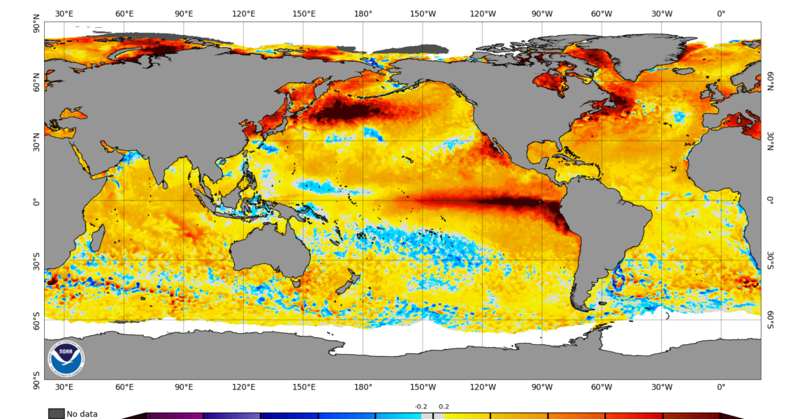 El Niño now stronger than in last 1,000 years El Niño now stronger than in last 1,000 years