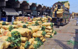 Labourers Unload Fresh Vegetables at Busy Market