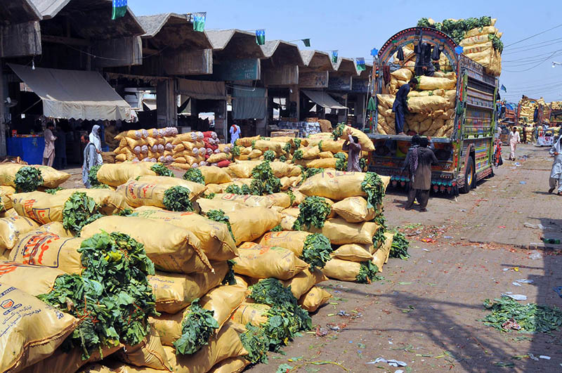 Labourers Unload Fresh Vegetables at Busy Market Labourers Unload Fresh Vegetables at Busy Market