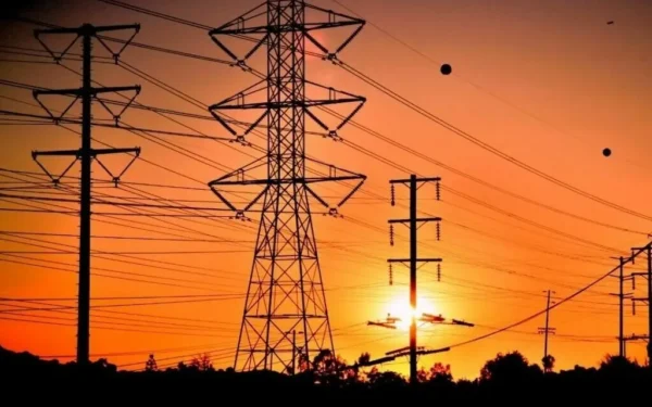 Pakistan Welcomes Turkish Investors for DISCO Privatisation Pakistan Welcomes Turkish Investors for DISCO Privatisation