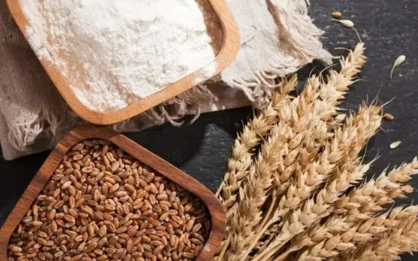 Chicago wheat futures fall as Turkey prepares Black Sea grain passage plan Chicago wheat futures fall as Turkey prepares Black Sea grain passage plan