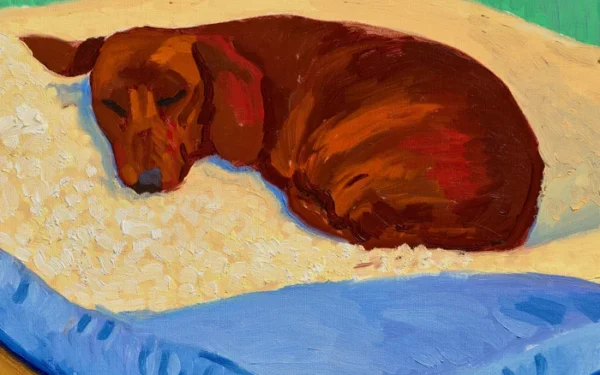 Rare Hockney Dog Painting to Be Auctioned